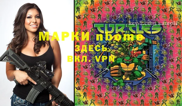 прущие грибы Баксан