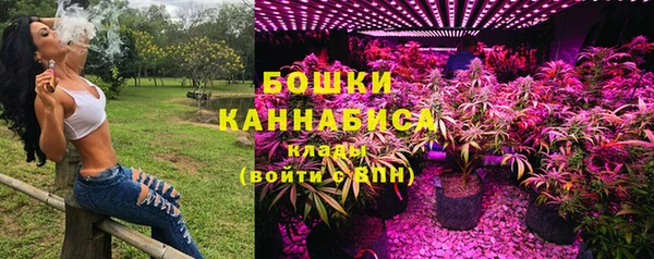 прущие грибы Баксан