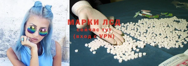 PSILOCYBIN Балахна