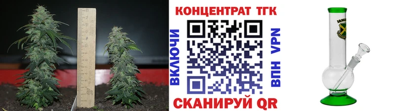 ТГК Wax  Певек 